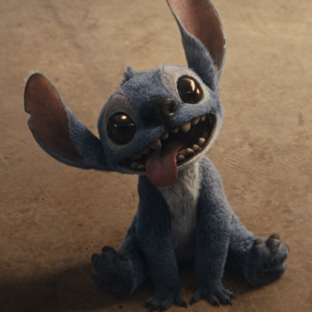 Stitch uit de nieuwe live-action film. De alien zit op de grond met zijn oren omhoog en zijn tong uit zijn mond.