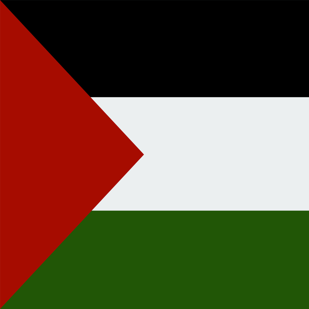 Palestijnse vlag