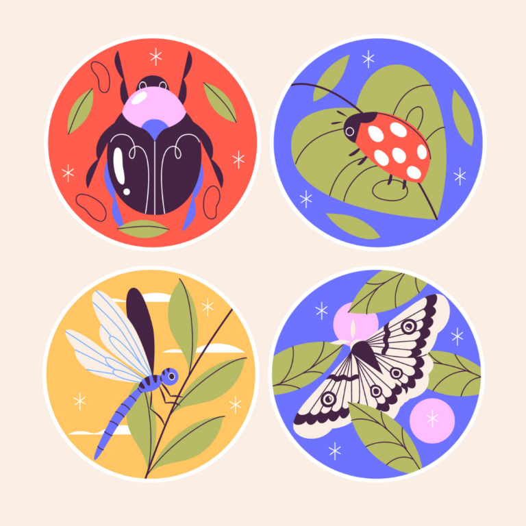 Illustratie van vier insecten op een blaadje: tor, libelle, vlinder en lieveheersbeestje